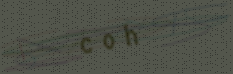 You will need to recognize the text in this image.