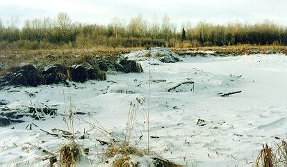 Abandoned beaver castle