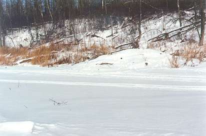 Beaver lodge in the winter, Jan. 25