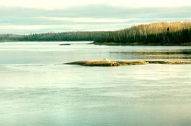 Islet