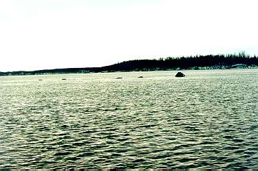 Rocks in south in "scaly" water