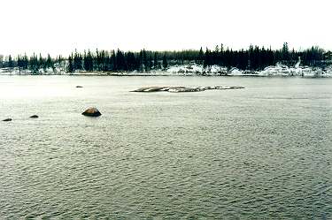 Islet in "scaly" water