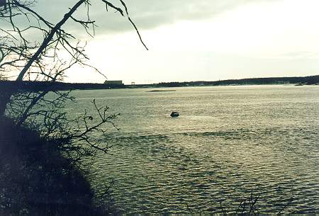 Cold scaly water